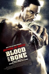 دانلود فیلم Blood and Bone 2009 دانلود فیلم Blood and Bone 2009