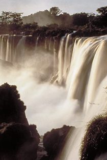 دانلود فیلم Empire of the Desert Ants 2011 دانلود فیلم Empire of the Desert Ants 2011