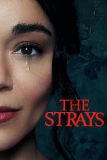 دانلود فیلم The Strays 2023 با زیرنویس چسبیده