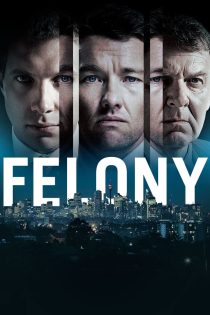 دانلود دوبله فارسی فیلم Felony 2013 دانلود دوبله فارسی فیلم Felony 2013