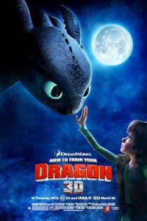 دانلود دوبله فارسی فیلم How to Train Your Dragon 2010 دانلود دوبله فارسی فیلم How to Train Your Dragon 2010