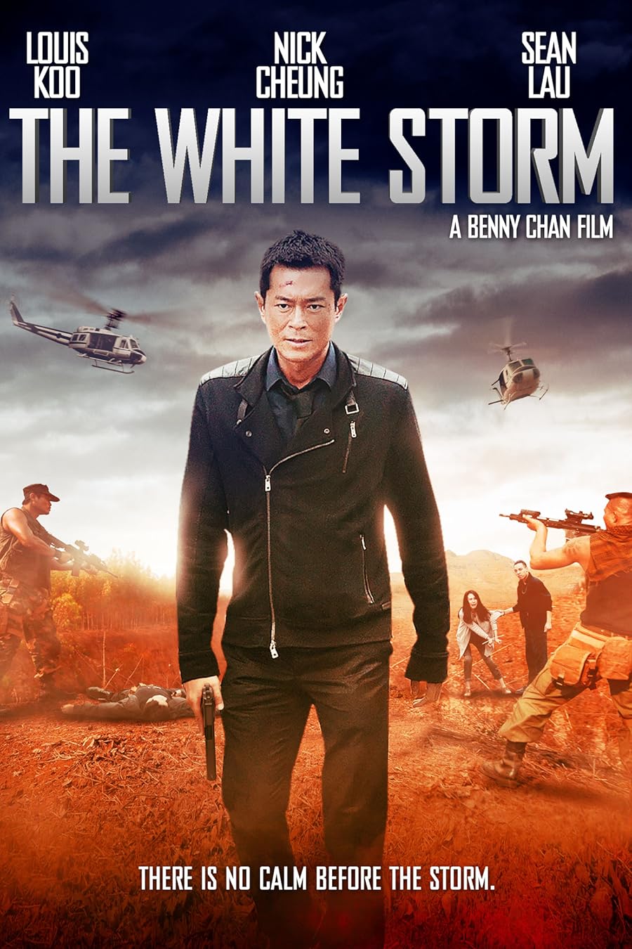 دانلود دوبله فارسی فیلم The White Storm 2013 دانلود دوبله فارسی فیلم The White Storm 2013