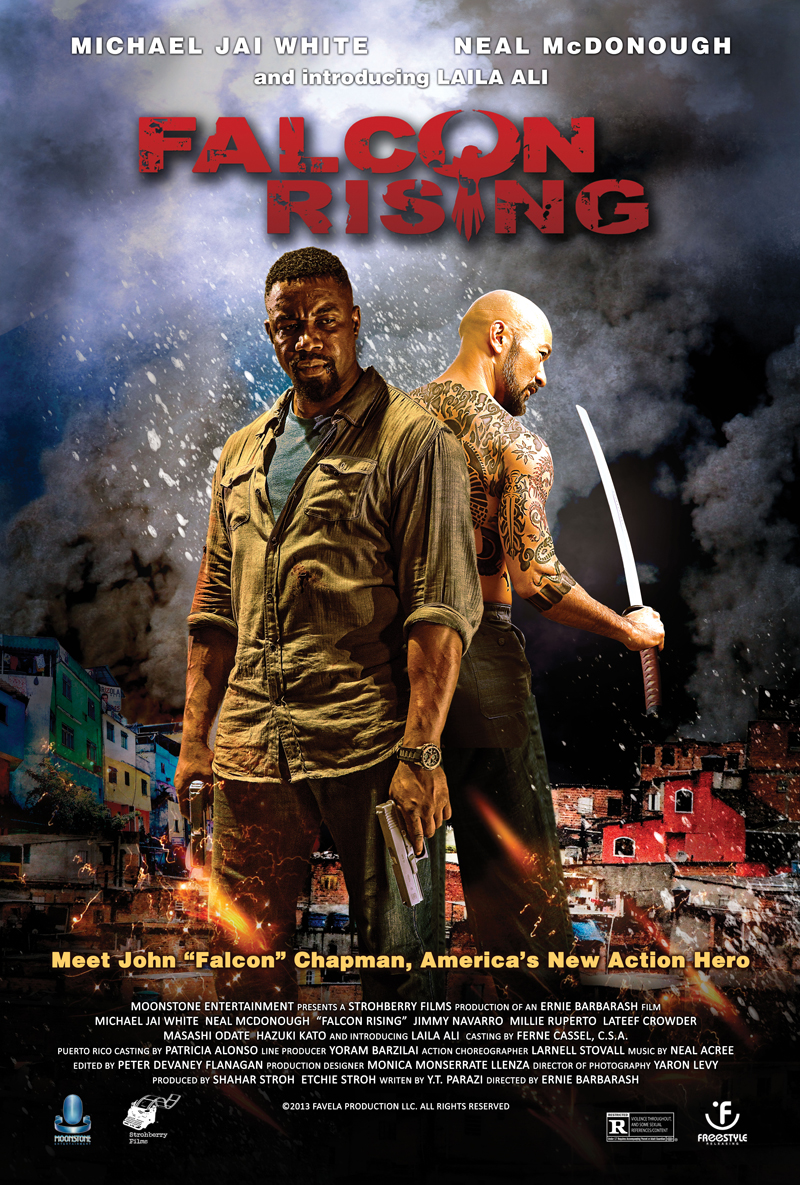 دانلود فیلم Falcon Rising 2014 با زیرنویس فارسی چسبیده
