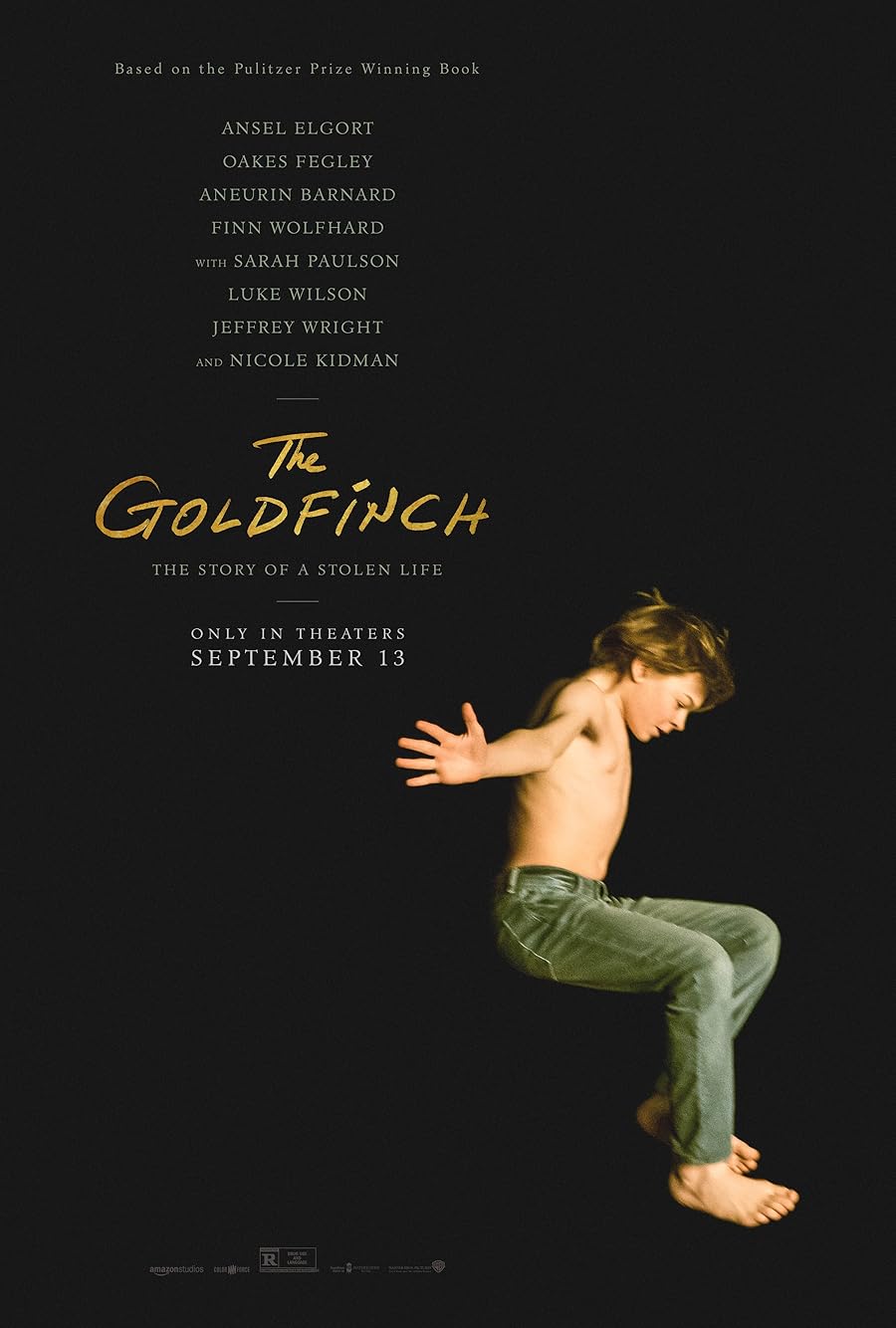 دانلود فیلم The Goldfinch 2019 با زیرنویس فارسی چسبیده