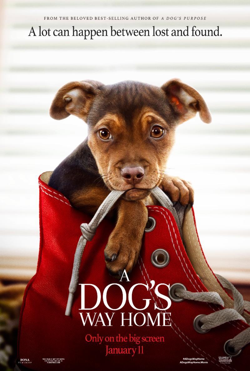 دانلود فیلم A Dog’s Way Home 2019 با زیرنویس فارسی چسبیده